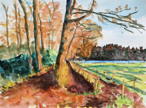 Landgoed Wellenseind | Zonnige herfst | 2025