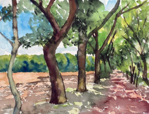 Ooievaarsnest | sept 2025